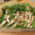 柚木元 - 本日の朝取り松茸(^-^)