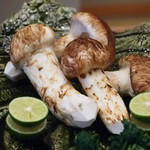 柚木元 - 新鮮な焼き松茸