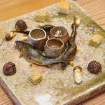 柚木元 - ディスプレーされた子持鮎