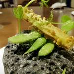 ル スプートニク - 