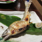 奥阿蘇の宿 やまなみ - 【焼物】