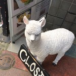 ペルー料理＆バル ALDO - 