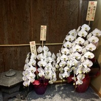 銀座くどう - 