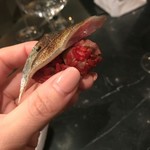 HUGO DESNOYER Ebisu - 