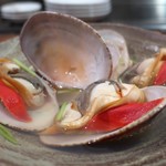 わだのや - 鳥取産すだれ貝酒蒸し