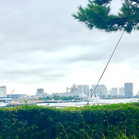 リストランテ サルーテ竹芝 - 