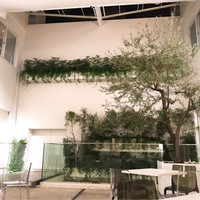 ENEKO Tokyo - 