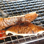 ろばたやき山ろく - プレミアム椎茸