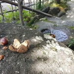 すや - 【2017.10】