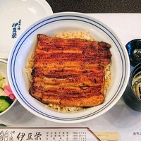 鰻割烹 伊豆栄 本店 - うな丼（竹）