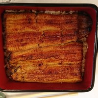 鰻割烹 伊豆栄 本店 - うな重（竹）
