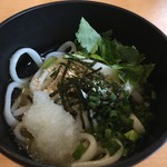 Habe Suto - うどん