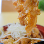 道の駅 まくらがの里こが - 奥久慈ポーク丼