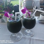 Orchids - グリーンスムージー