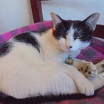 中国料理 王記 - 休憩中の客引きの方