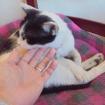 中国料理 王記 - 休憩中の客引きの方