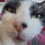 中国料理 王記 - 休憩中の客引きの方