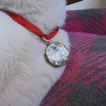 中国料理 王記 - 「王記」って書いてあります