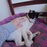 中国料理 王記 - 休憩中の客引きの方