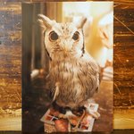 パクチーバル 8889 - お土産