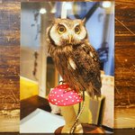 パクチーバル 8889 - お土産