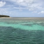 LITE BITES - グリーン島が見えてきました