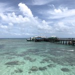 The canopy grill - グリーン島桟橋