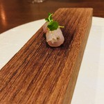 ル スプートニク