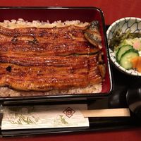 うなぎ割烹 大江戸 - 