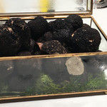 グランド ダイア - 