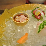 日本料理 潤花 - お造り２