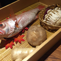 のどぐろ専門 銀座 中俣 - 