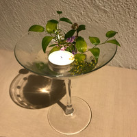 皿の上の自然il Gastro Sara - 