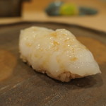 鮨　仙八 - アオリイカ