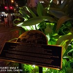 Moana Surfrider, A Westin Resort & Spa - 