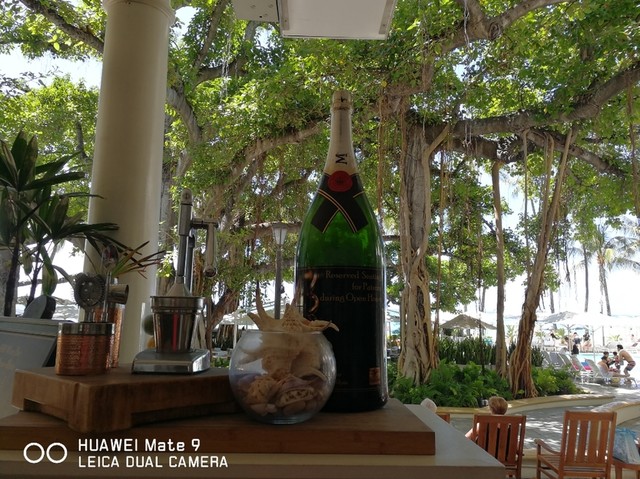 モアナ　ハワイ 2025年夏】7月1日開始！アラモアナセンター独立記念日セール情報