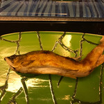 清流山水花 あゆの里 - 