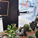 Basecamp Coffee House - 