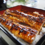 Unagi Ryouriaoki - 