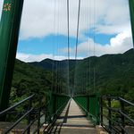 森林の駅 - 吊橋