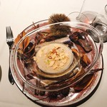 グランド ダイア - 