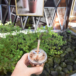 Lindt Chocolat Boutique & Cafe Karuizawa Purinsushoppingupurazaten