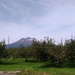 常寿し - 紅葉の岩木山とリンゴ畑