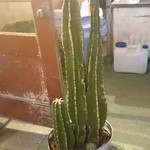 ベーカーバウンス - 