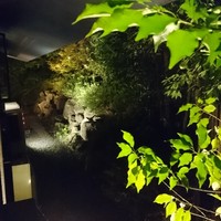イトウ ダイニング バイ ノブ - 