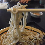 Hodaka Shokubou Ajisaikan - 蕎麦アップ