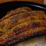 Ichikawa - 鰻丼