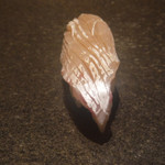 寿し おおはた - 