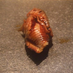 寿し おおはた - 