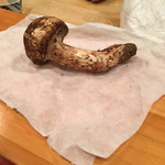 龍文支店 - 岐阜県産の松茸